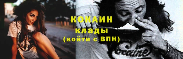 прущая мука Ельня