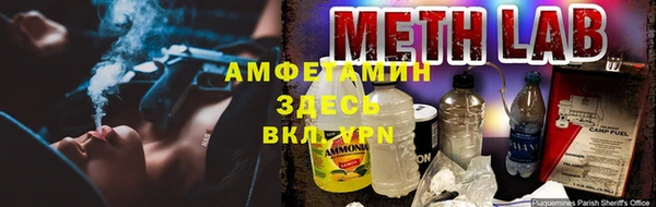 прущая мука Ельня