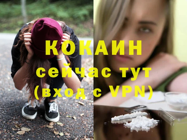 mdpv Елизово