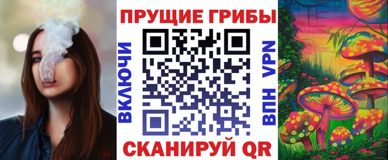 Псилоцибиновые грибы MAGIC MUSHROOMS  Купить закладки  Певек 